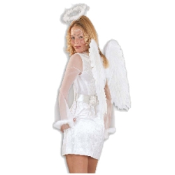 Nach dem Junggesellinnenabschied muss aus der Teufelin ein Engel werden. Mit diesem Kostm kann man ihr schon mal zeigen, wie sich ein braver Engel fhlt. Zweiteiliges Set mit Kleid und Grtel aus 100% Polyester.