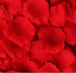 100 rote Rosenblätter