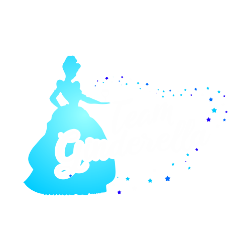 Team Ginderella Bestellvorschlag 1